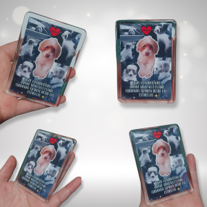 Soporte Foto Para Visera De Auto