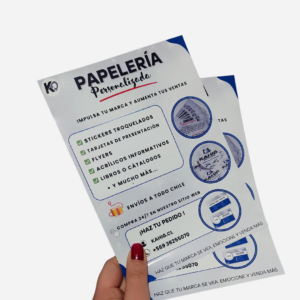 flyerskahig (2)