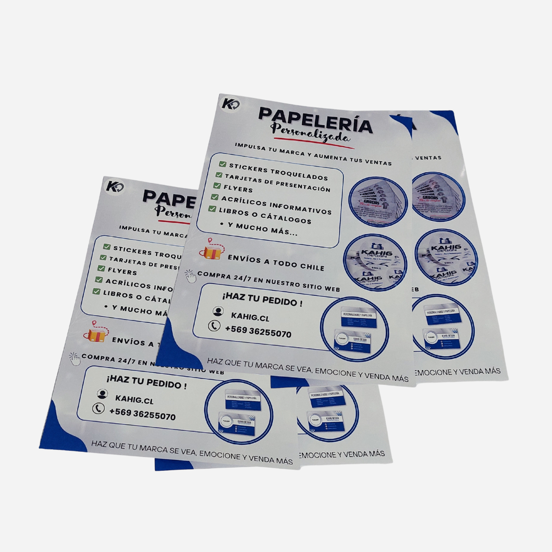 flyerskahig (3) flyerskahig (3)